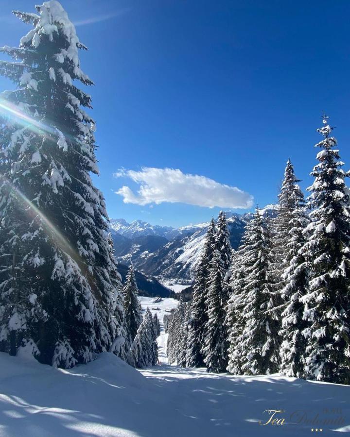 Hotel Tea Dolomiti أليغ المظهر الخارجي الصورة